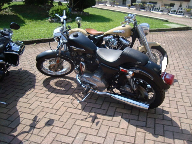 Harley Davidson Sporster 1000 Harley Davidson Sporster 1000